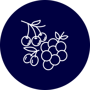 Berries, Cherries and Grapes icon