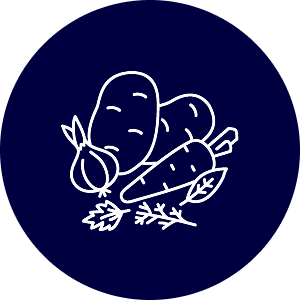 Hard vegetables icon